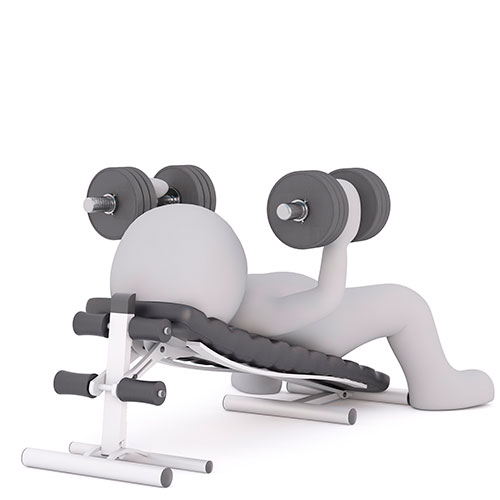 EQUIPOS UNIVERSALES Y DE PESO LIBRE